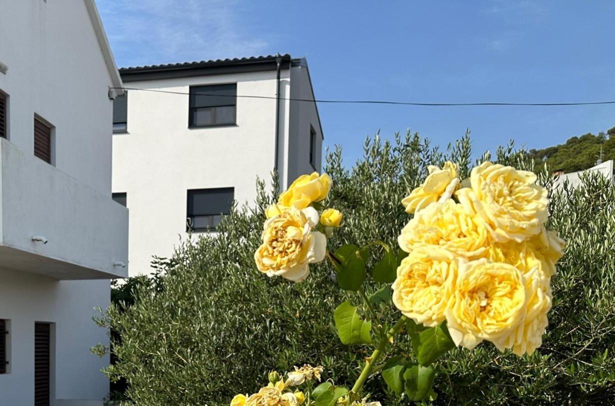 Apartament Mrgic